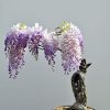 amazing-bonsai-trees-2-5710e785cd3a3__700-1470387772-width700height1054