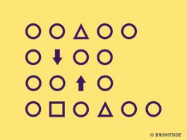 Tưởng “ngon ăn” nhưng cả triệu người trả lời sai 4 câu đố này, bạn có dám thử?