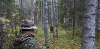 Cuồng Battle royale, triệu phú tuyển người tham gia dự án sinh tồn ngoài đời thực