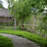 Chủ quán bia ôm đến tận nhà đòi nợ, chồng mới lòi tội ngoại tình